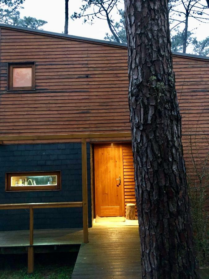 Bungalow B2 - Nature, Beach & River Ofir Exterior photo